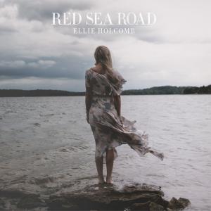 Album cover for Red Sea Road album cover