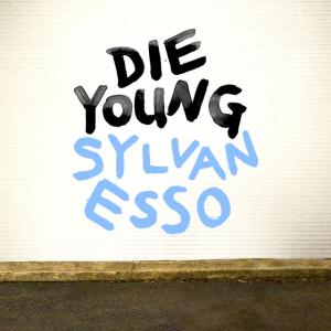 Album cover for Die Young album cover