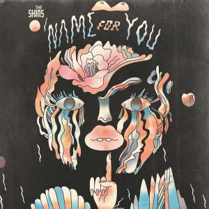 Album cover for Name For You album cover