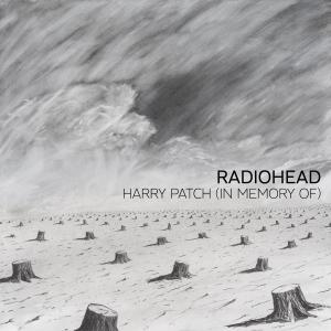 Album cover for Harry Patch (In Memory Of) album cover