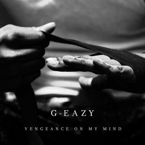 Album cover for Vengeance on My Mind album cover