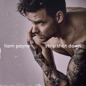 Album cover for Strip That Down album cover