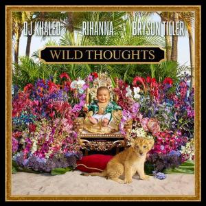 Album cover for Wild Thoughts album cover