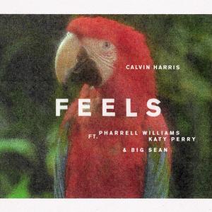 Album cover for Feels album cover