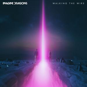 Album cover for Walking The Wire album cover