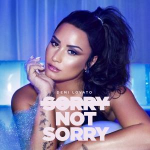 Album cover for Sorry Not Sorry album cover