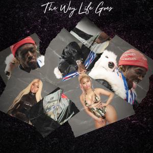 Album cover for The Way Life Goes album cover