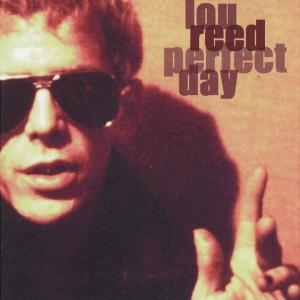 Album cover for Perfect Day album cover