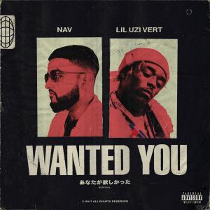 Album cover for Wanted You album cover
