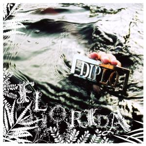 Album cover for Florida album cover