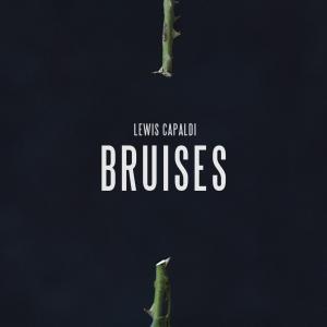 Album cover for Bruises album cover
