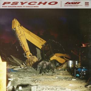 Album cover for Psycho album cover