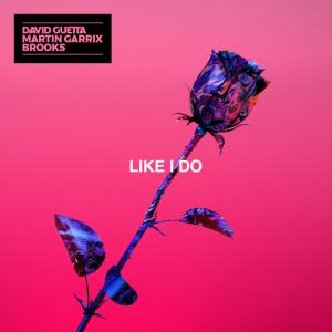Album cover for Like I Do album cover