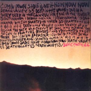 Album cover for Death Valley '69 album cover
