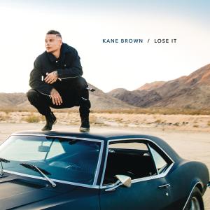 Album cover for Lose It album cover