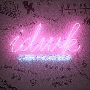 Album cover for IDWK album cover