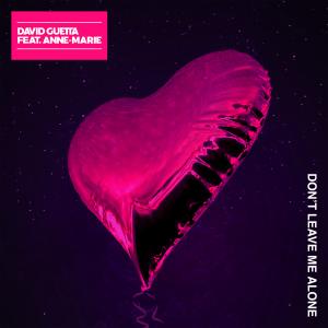 Album cover for Don't Leave Me Alone album cover