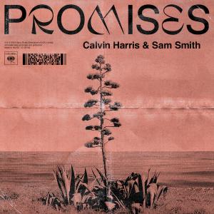 Album cover for Promises album cover