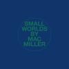 Small Worlds