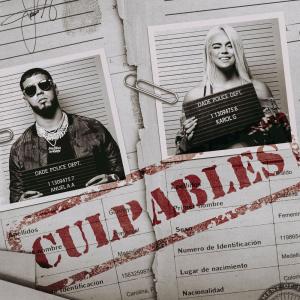 Album cover for Culpables album cover