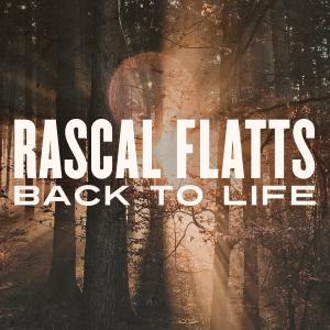 Album cover for Back To Life album cover