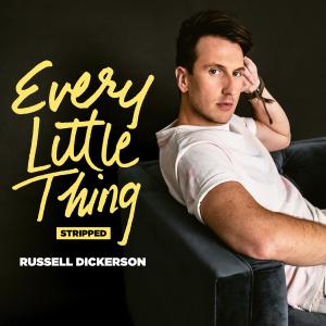 Album cover for Every Little Thing album cover