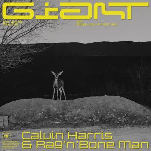 Album cover for Giant album cover