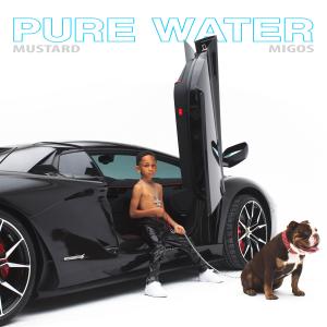 Album cover for Pure Water album cover