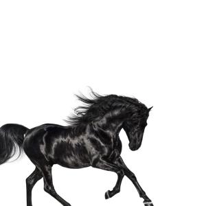 Album cover for Old Town Road album cover
