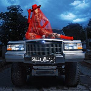 Album cover for Sally Walker album cover