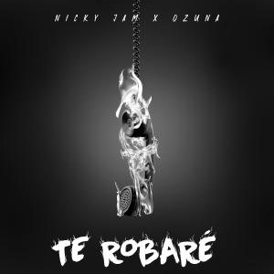 Album cover for Te Robare album cover