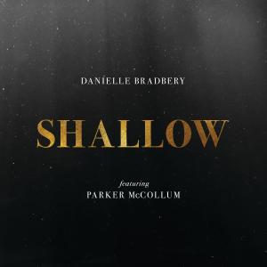 Album cover for Shallow album cover