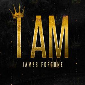 Album cover for I Am album cover