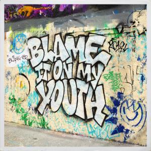 Album cover for Blame It On My Youth album cover
