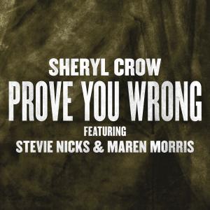 Album cover for Prove You Wrong album cover
