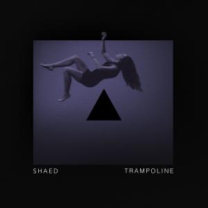 Album cover for Trampoline album cover
