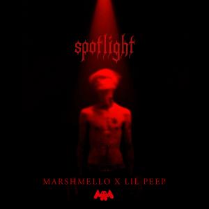 Album cover for Spotlight album cover