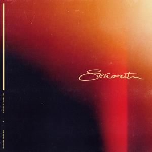 Album cover for Senorita album cover