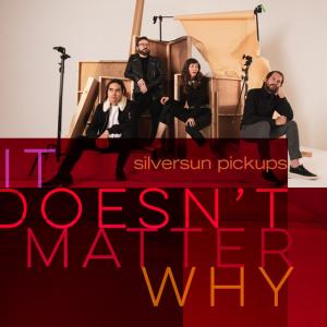 Album cover for It Doesn't Matter Why album cover