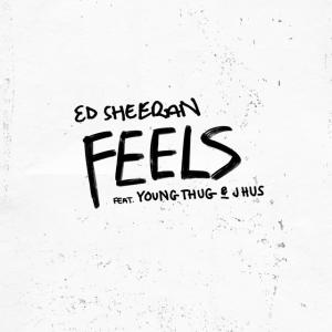 Album cover for Feels album cover