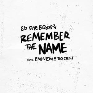 Album cover for Remember The Name album cover
