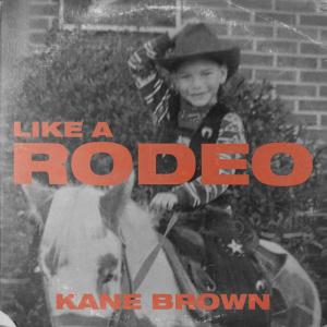 Album cover for Like A Rodeo album cover