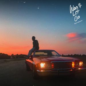 Album cover for Won't Let Go album cover