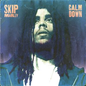 Album cover for Calm Down album cover