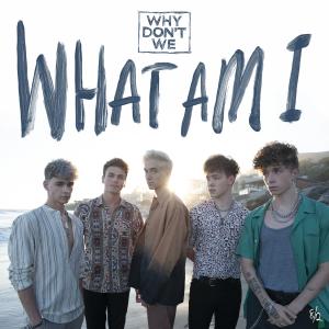 Album cover for What Am I album cover