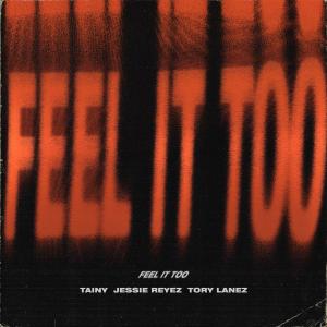 Album cover for Feel It Too album cover