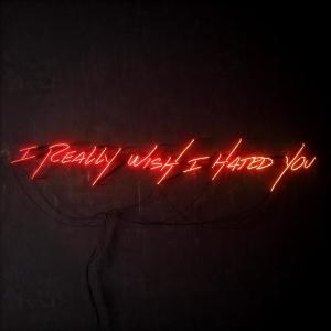 Album cover for I Really Wish I Hated You album cover