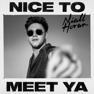 Album cover for Nice To Meet Ya album cover