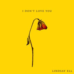 Album cover for I Don't Love You album cover