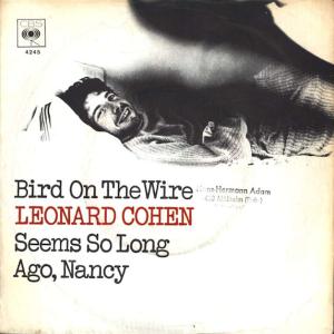 Album cover for Bird on the Wire album cover